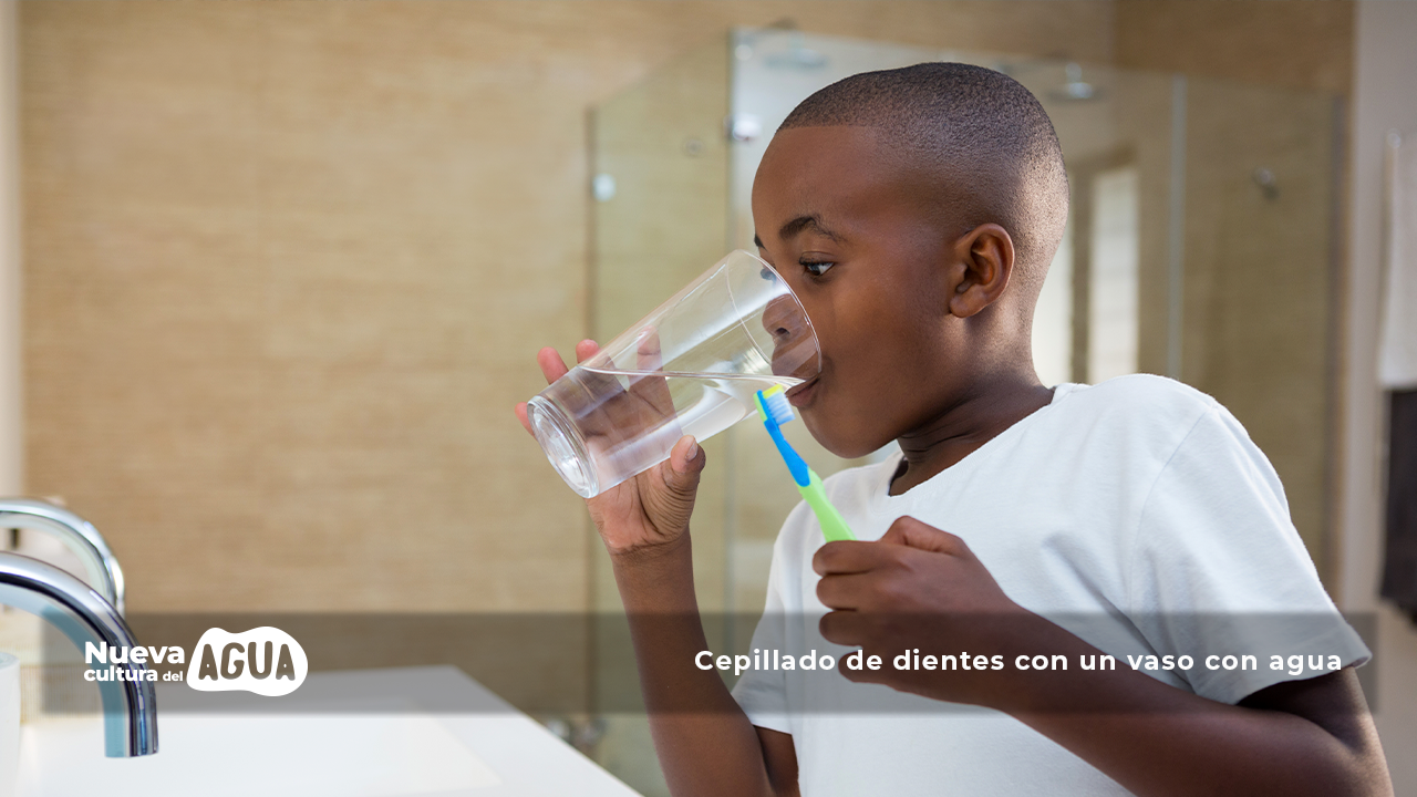 Distribución 2