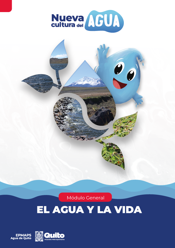 Imagen del curso